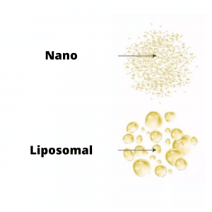 Taille-différence-Nano-Liposomique