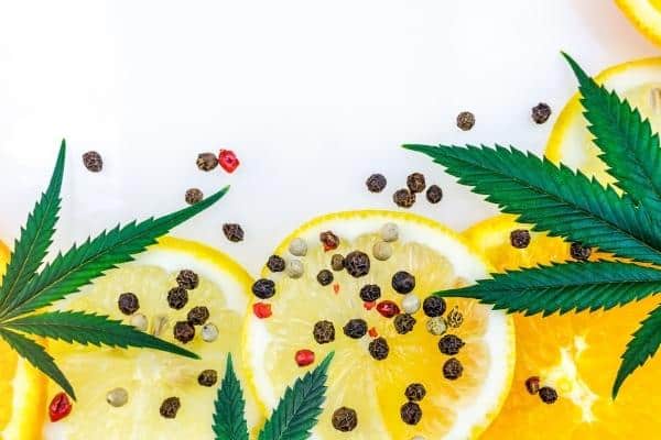 Huile de CBD contre tétrahydrocannabinol contre tétrahydrocanna.