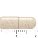 Une pilule beige en forme de capsule Vitakruid – Ashwagandha KSM-66® & Bioperine® (provenant d'un paquet végétalien de 60 capsules) est placée horizontalement à côté d'une règle, mesurant environ 2 centimètres de longueur.