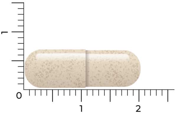 Une pilule beige en forme de capsule Vitakruid – Ashwagandha KSM-66® & Bioperine® (provenant d'un paquet végétalien de 60 capsules) est placée horizontalement à côté d'une règle, mesurant environ 2 centimètres de longueur.