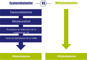Organigramme comparant les procédés Vitakruid – Multi Jour & Nuit® Femme pour la cyanocobalamine et la méthylcobalamine, y compris les étapes de conversion de la cyanocobalamine en méthylcobalamine.