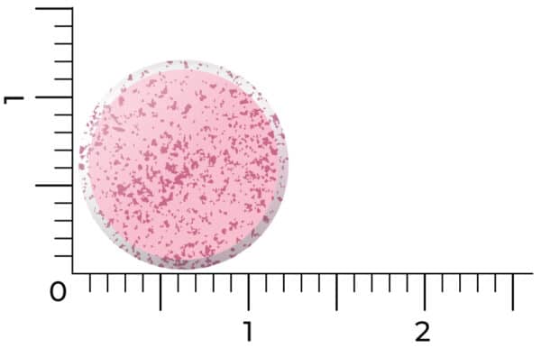 Le Vitakruid - B12 Combi 6000® avec Folate et P-5-P (60 comprimés à sucer) est représenté par un comprimé rond, rose moucheté, sur un graphique avec des règles, mesurant environ 1,3 unité de diamètre.