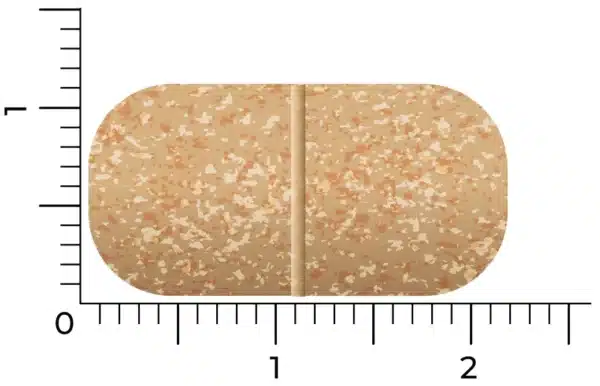 Un comprimé oblong tacheté de beige de Vitakruid – Multi Jour & Nuit® Femme (2 x 30 comprimés), avec une ligne de cassure, est présenté à côté d'une règle et mesure environ 1,6 centimètre de longueur.