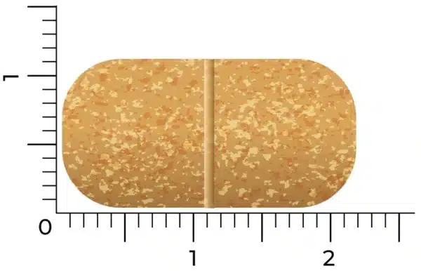 Comprimé rectangulaire tacheté, beige, avec une ligne rainurée mesurant environ 2 cm sur 1 cm de Vitakruid – Multi Jour & Nuit® Femme (2 x 30 comprimés).