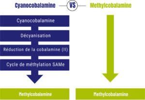 Comparaison de Vitakruid - B12 Combi 6000® avec Folate et P-5-P avec un organigramme pour la conversion de la cyanocobalamine et une représentation directe pour la méthylcobalamine.