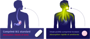 Illustration comparant un comprimé standard de B12 à absorption lente à Vitakruid - B12 Combi 6000® avec Folate et P-5-P, qui a une absorption rapide et améliorée dans l'organisme comme indiqué à droite.